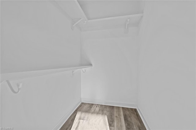 spacious closet with wood finished floors