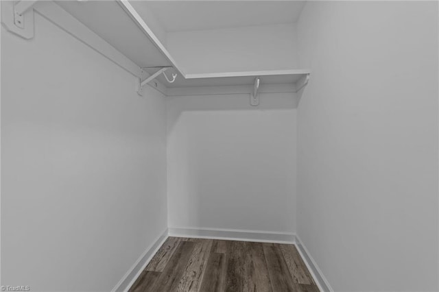 spacious closet featuring dark wood finished floors