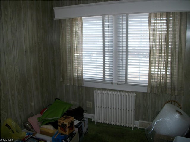 room details featuring radiator heating unit