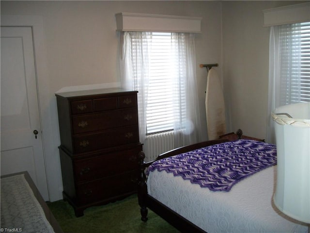 bedroom with multiple windows