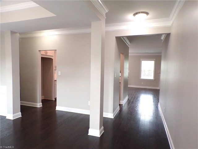 8003 Helison Ct, Stokesdale, NC 27357 - corridor with dark wood-style flooring, crown molding, and baseboards
