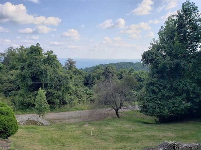 view of mountain feature