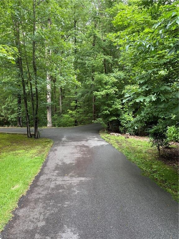 235 Hogan Bowers Rd, Thomasville, NC 27360 - view of street featuring a forest view