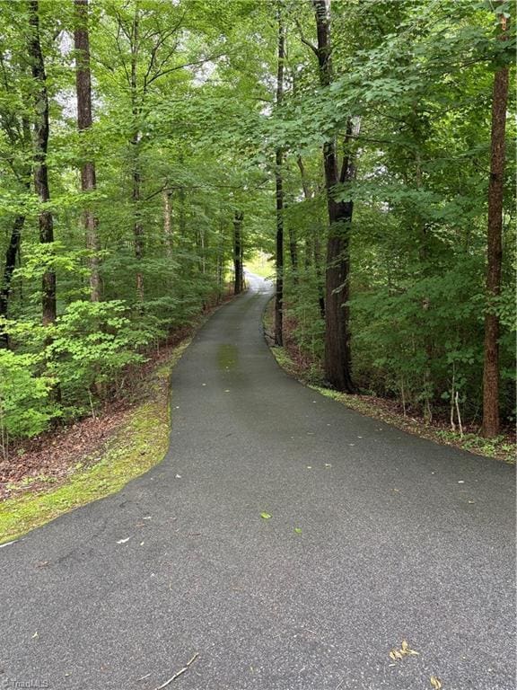 235 Hogan Bowers Rd, Thomasville, NC 27360 - view of road featuring a wooded view