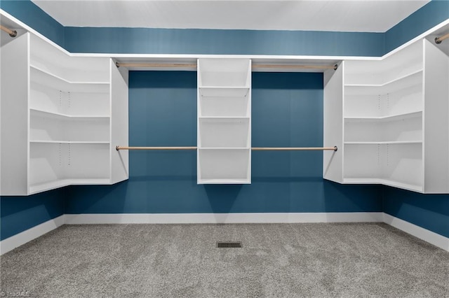 walk in closet featuring carpet floors