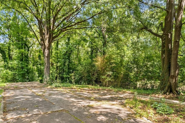 524 Horah St, Salisbury, NC 28144 - view of tree filled area