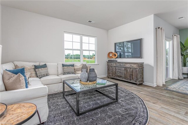 living room featuring wood-type flooring