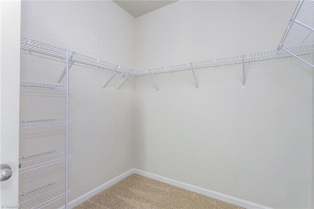 walk in closet with carpet