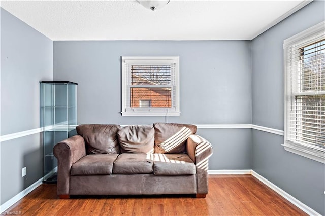 living room with wood-type flooring