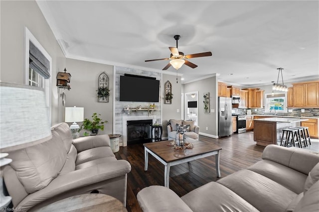 living room with ceiling fan, dark hardwood / wood-style floors, ornamental molding, and a large fireplace