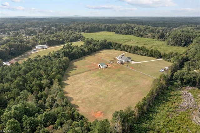 bird's eye view