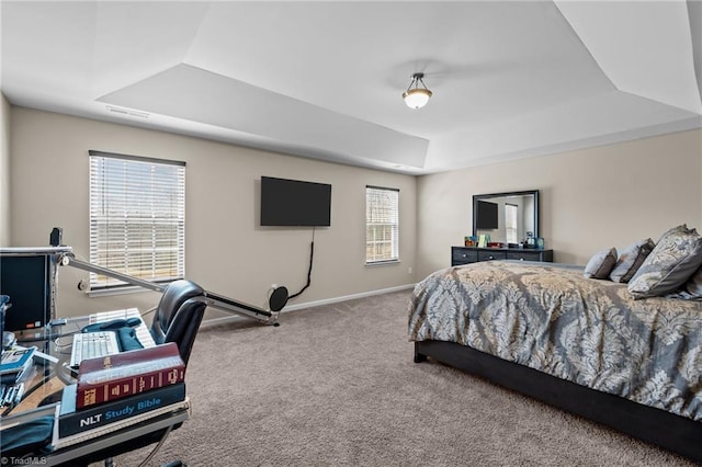 1318 Reading Ct, Burlington, NC 27217 - bedroom with carpet flooring, a raised ceiling, visible vents, and baseboards