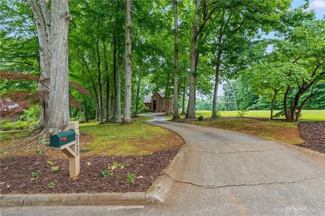 2020 La Dora Dr, High Point, NC 27265 - view of home's community featuring driveway and a lawn