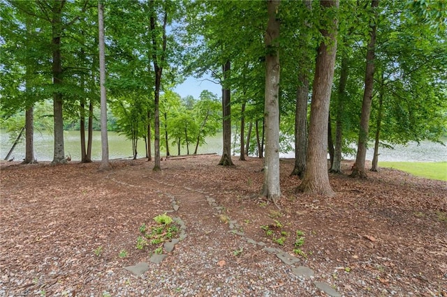 2020 La Dora Dr, High Point, NC 27265 - view of undeveloped land