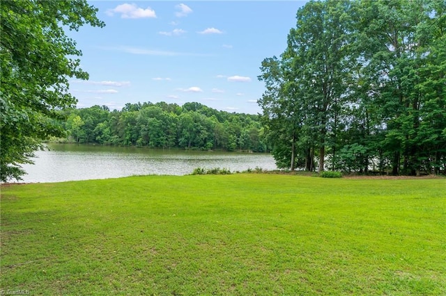 2020 La Dora Dr, High Point, NC 27265 - water view with a forest