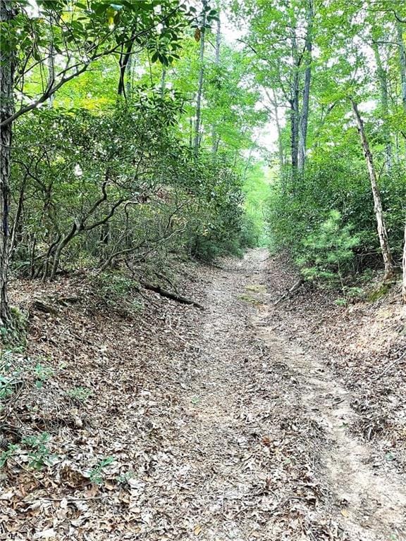 Listing photo 3 for TBD Buck Dr, Hays NC 28649