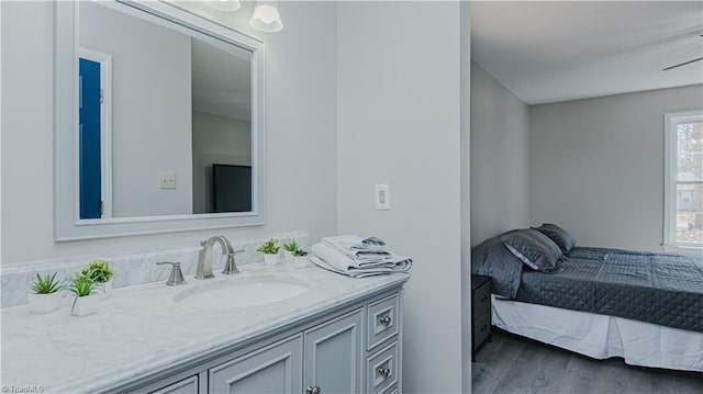 bathroom featuring vanity and wood finished floors