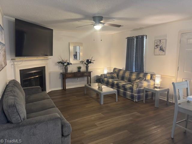 201 Olde Vineyard Ct, Winston-Salem, NC 27104 - living room featuring a ceiling fan, wood finished floors, and a glass covered fireplace