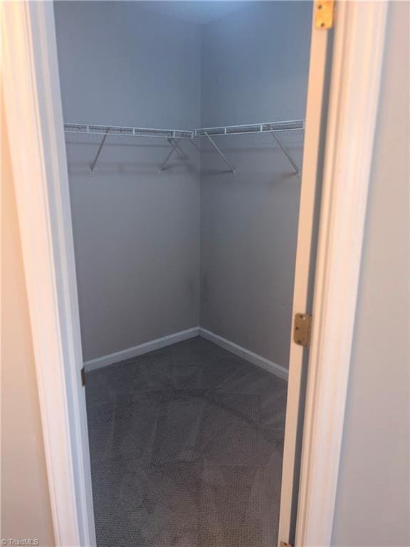 walk in closet featuring dark colored carpet