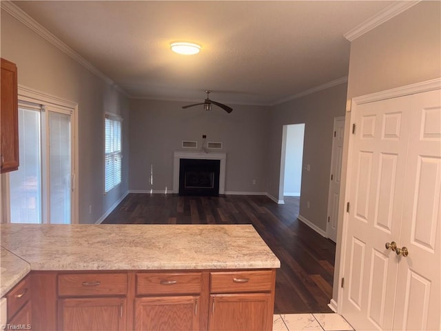 kitchen with dark hardwood / wood-style flooring, ceiling fan, and ornamental molding