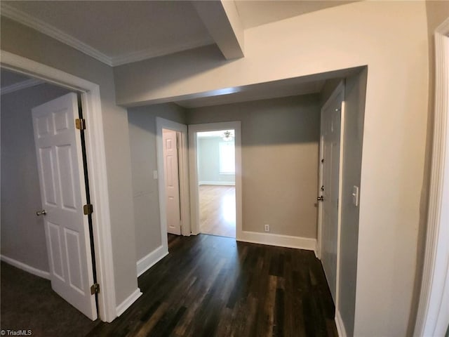 corridor with crown molding and dark hardwood / wood-style flooring