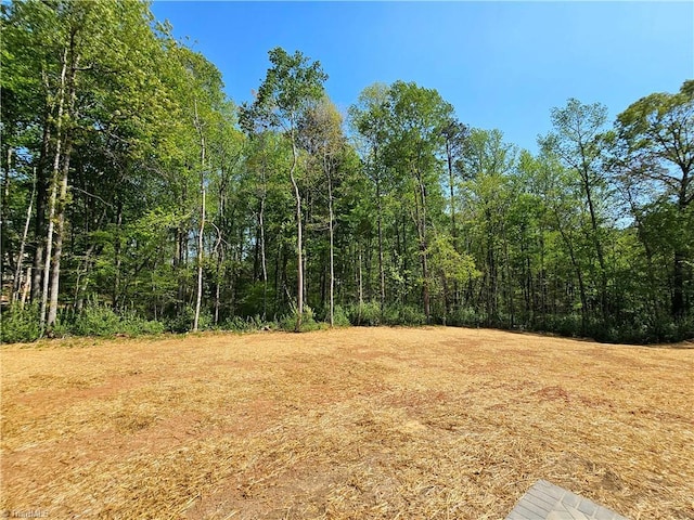 7020 Marseilles Ct, Summerfield, NC 27358 - view of woods