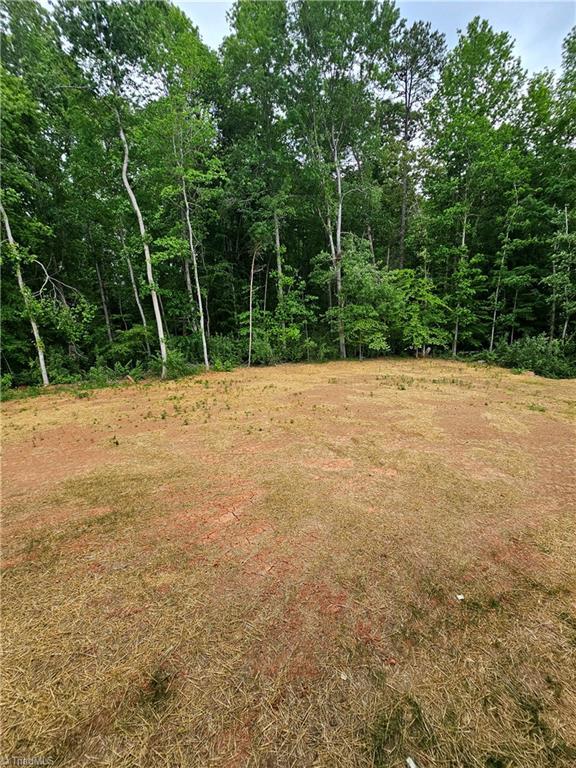7020 Marseilles Ct, Summerfield, NC 27358 - view of nature