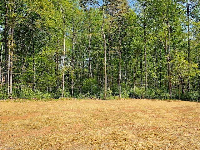 7020 Marseilles Ct, Summerfield, NC 27358 - view of tree filled area
