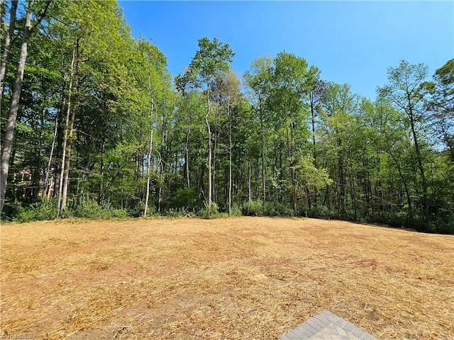 7020 Marseilles Ct, Summerfield, NC 27358 - view of wooded area