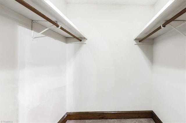 206 Swaim Ct, Salisbury, NC 28147 - view of walk in closet