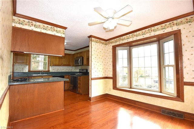 kitchen featuring sink, crown molding, ceiling fan, dark hardwood / wood-style flooring, and stainless steel appliances