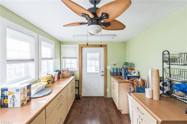 interior space with dark wood-type flooring and ceiling fan