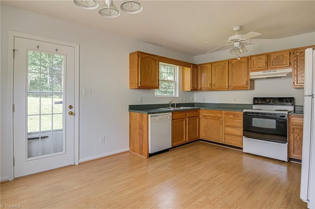 261 Williamsgate Ct, Winston-Salem, NC 27107 - kitchen featuring electric range oven, under cabinet range hood, white dishwasher, light wood finished floors, and ceiling fan