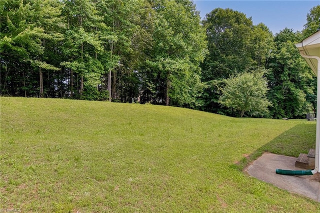 261 Williamsgate Ct, Winston-Salem, NC 27107 - view of green lawn