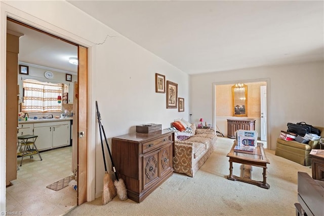 living area featuring light floors and radiator