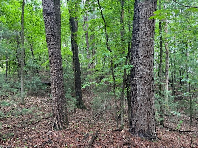 0 Hg Lewis Rd, Thurmond, NC 28683