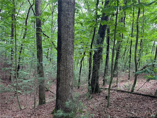 0 Hg Lewis Rd, Thurmond, NC 28683