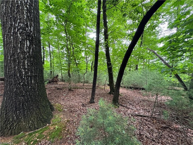0 Hg Lewis Rd, Thurmond, NC 28683
