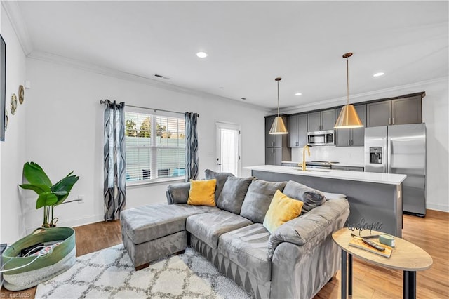 living room featuring crown molding, light hardwood / wood-style flooring, and sink