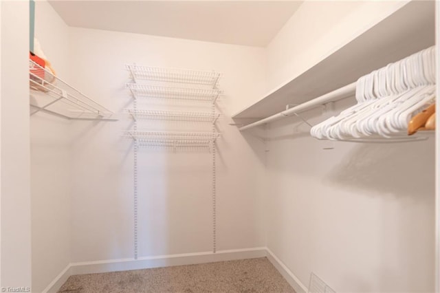 spacious closet featuring carpet flooring