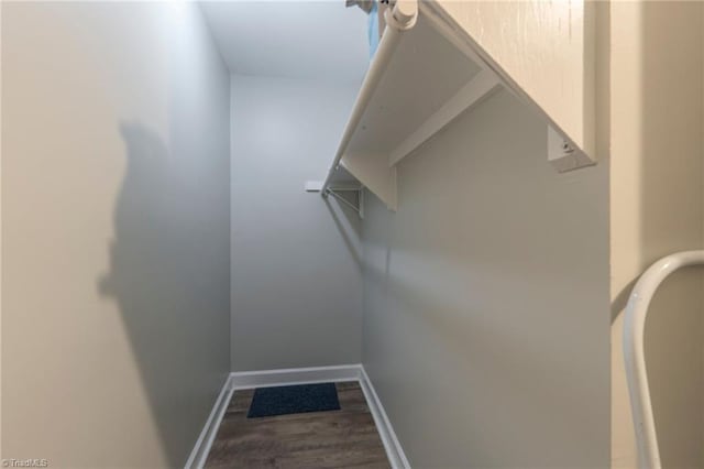 spacious closet with hardwood / wood-style floors