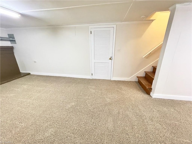 basement featuring carpet flooring