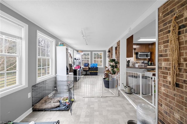 sunroom featuring rail lighting