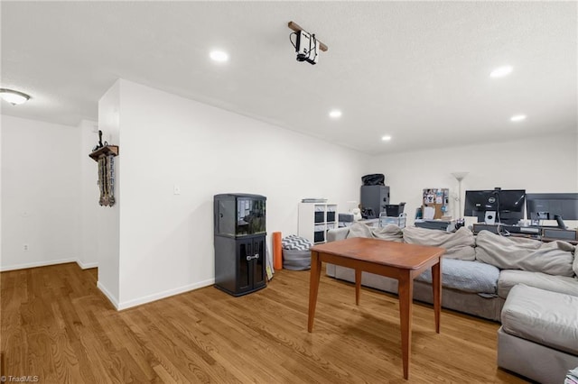 living room featuring hardwood / wood-style flooring