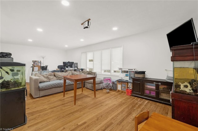 living room featuring light hardwood / wood-style flooring