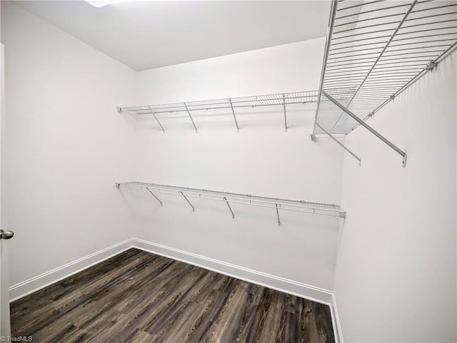 walk in closet with hardwood / wood-style flooring