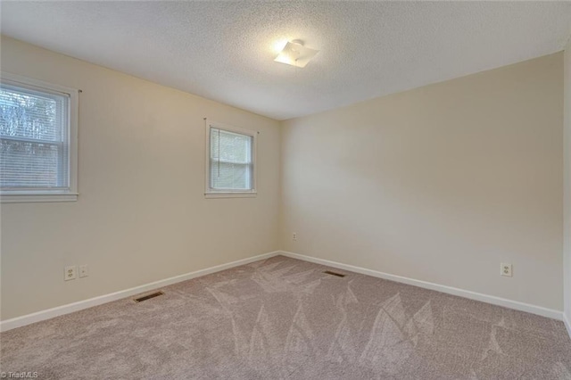 spare room featuring a textured ceiling, light colored carpet, and a wealth of natural light