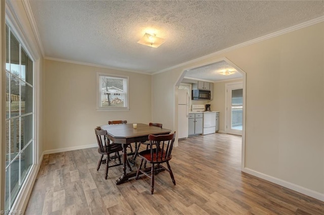 dining area with light hardwood / wood-style floors, ornamental molding, and a textured ceiling