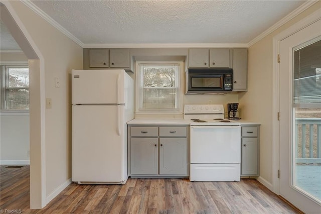 kitchen with gray cabinets, light wood-type flooring, white appliances, and crown molding