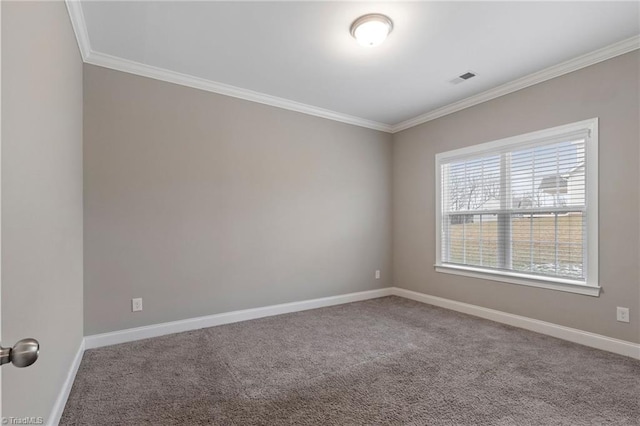 spare room with ornamental molding and carpet floors